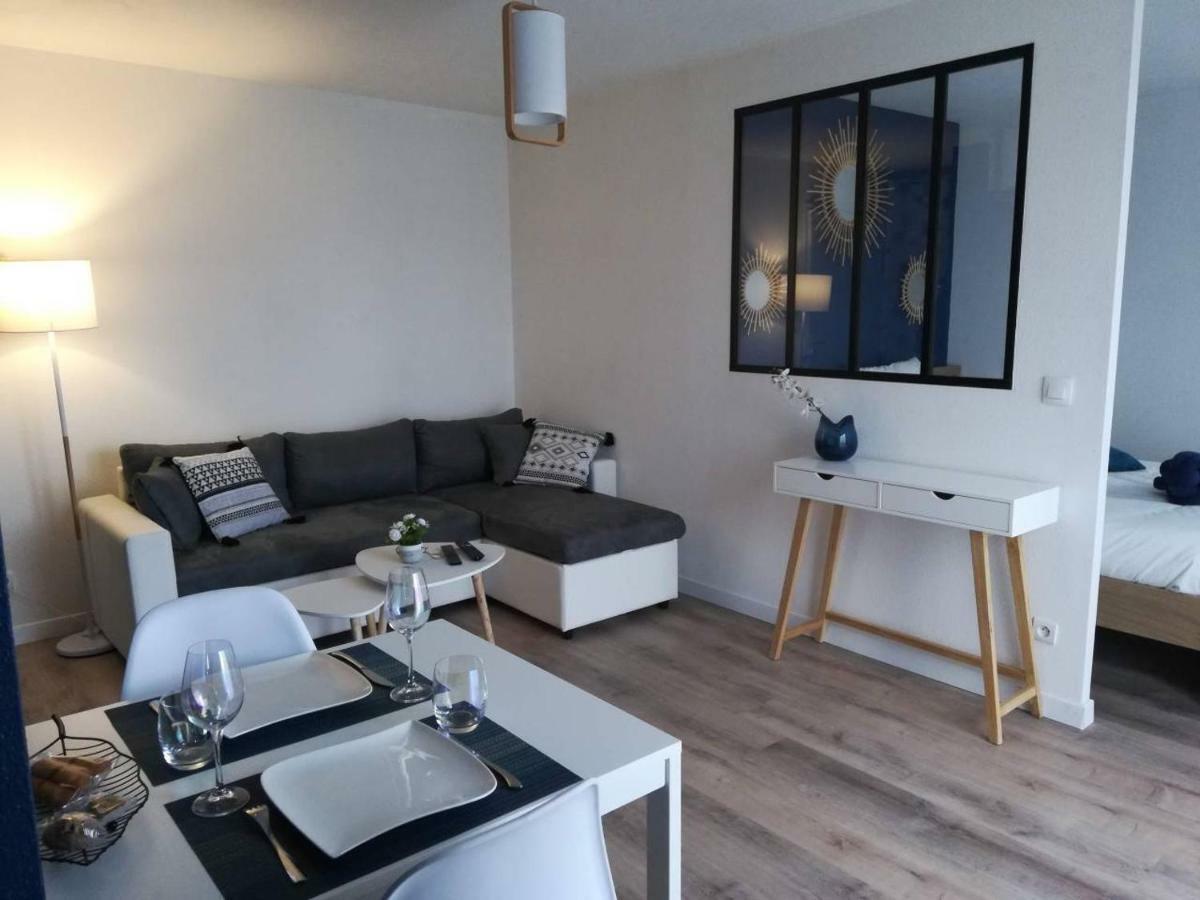 Appartement Cosy Proche Meteo France Et Airbus Τουλούζη Εξωτερικό φωτογραφία